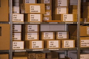 doppenstelling_kl02kopie