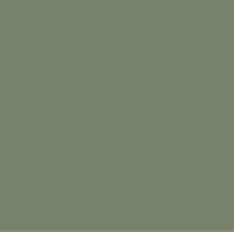 Kunststof zitting : Leger groen