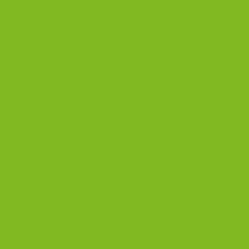 Kuipkleur: Lime NCS S0570