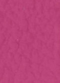 Keuze kleur Vinyl: Cerise