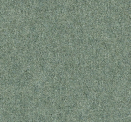 Facet Kleur: Facet Mint 50