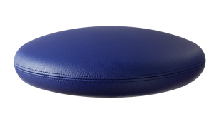 Bekleding Leer: Blauw