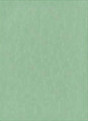 Keuze kleur Vinyl: Licht groen