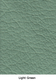 Keuze kleur Leather: Light Green