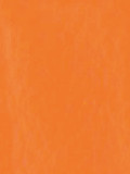Keuze kleur Vinyl: Orange