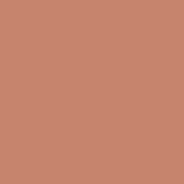 Kuipkleur: Beigerood RAL3012