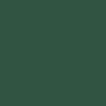 Kuipkleur: Groen RAL6028