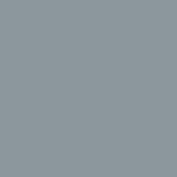 Kuipkleur: Lichtgrijs RAL7001